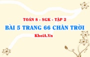 Bài 5 trang 66 Toán 8 Chân trời sáng tạo Tập 2